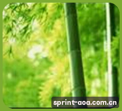 李雯