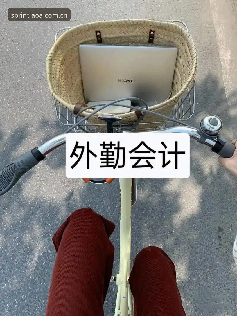资深用户分享AOA体育官网安装失败的实战经验与解决之道