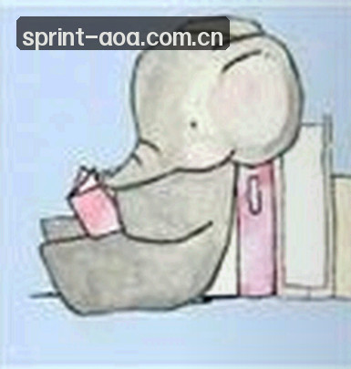 赵敏